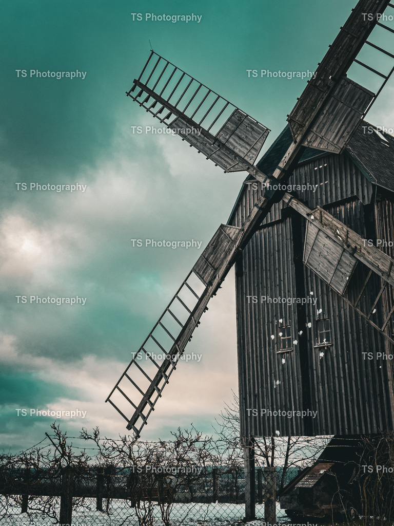 IMG_3821(1) | TS Photography - Realisiert mit Pictrs.com