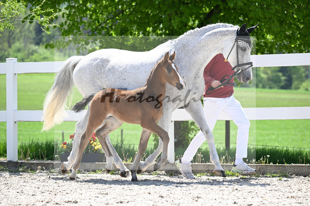 Armison x Powerfee_HF_Herz_8250663 | hf-fotografie - Realisiert mit Pictrs.com