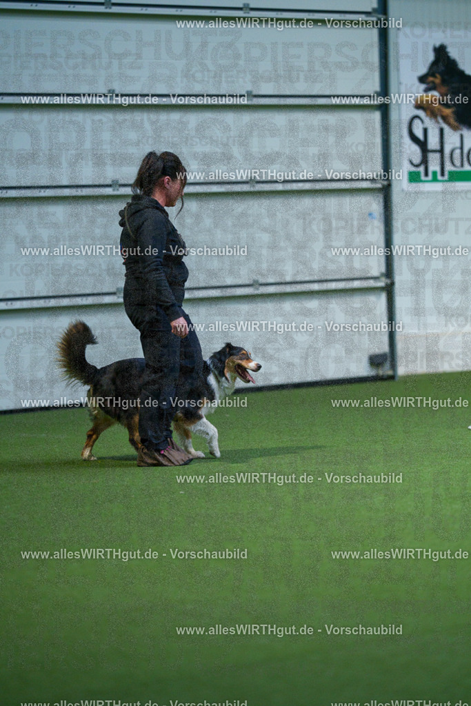 7R502029 | Professionelle Tierfotografie in Mönchengladbach von Daniel Wirth (allesWIRTHgut). Liebevolle & natürliche Bilder von Hunden & Katzen für unvergessliche Erinnerungen.