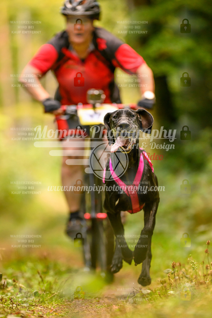 MompixPhotography_Yens2025_B2-139 | PayLife