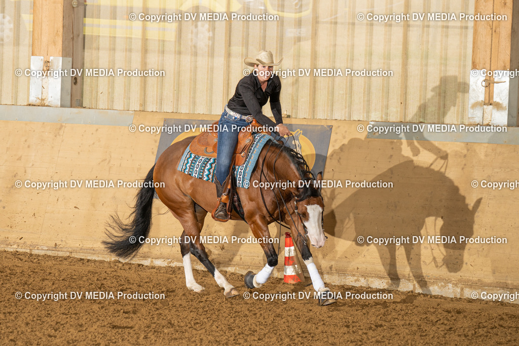 LAU01353 | dv-media-shop - Realisiert mit Pictrs.com