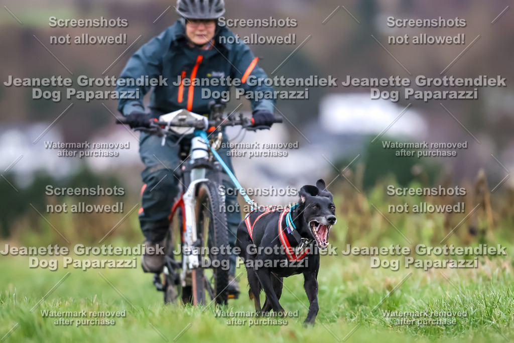Dog Paparazzi - Herkules Race  2025-9 | Dog Paparazzi Jeanette Grottendiek Fotografie & Videografie - Realisiert mit Pictrs.com