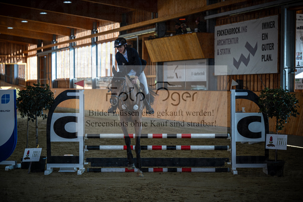 DOS_1135 | Entdecke hochwertige Reitturnierfotos von Foto Oger. Professionell, emotional und authentisch – jetzt Lieblingsmomente im Shop bestellen.Deutschlandweite Turnierfotografie. - Realisiert mit Pictrs.com