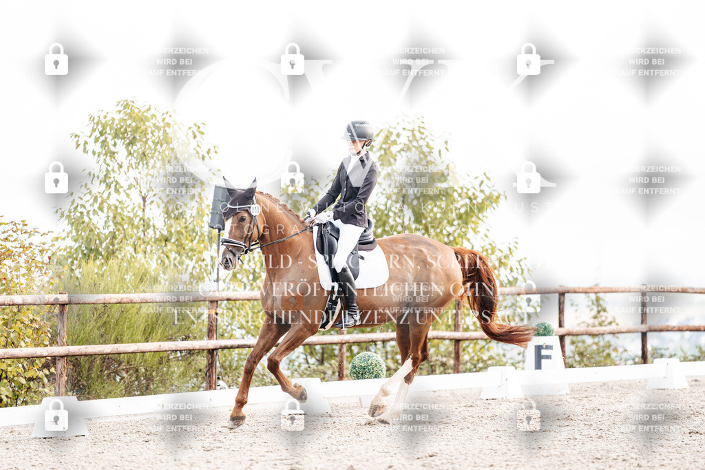CK900564 | Turnierfotografie Pferdefotografie Trier Rheinland-Pfalz Pferdesport Reitsport Tierfotografie Sportfotografie Pferdevideo Pferdevideografie Equestrianvideography equestrianphotography  - Realisiert mit Pictrs.com
