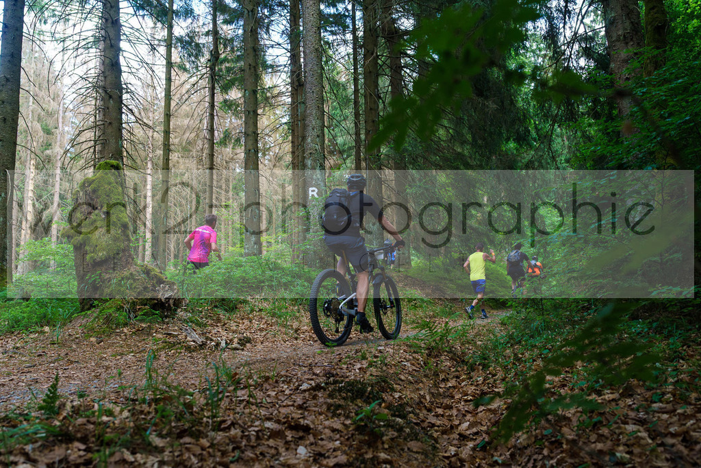 Rennsteig-Staffellauf 2023 | Rennsteig-Staffellauf - Hörschel bis Blankenstein - 17. Juni 2023