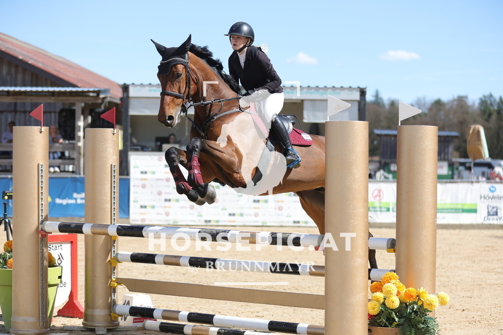0P6A8954 | Willkommen bei Brunnmayr - Design & Fotografie – Ihrem Spezialisten für Reitturniere und Pferdeveranstaltungen in Oberösterreich, Salzburg und Bayern! Seit über 17 Jahren sind wir leidenschaftlich dabei.