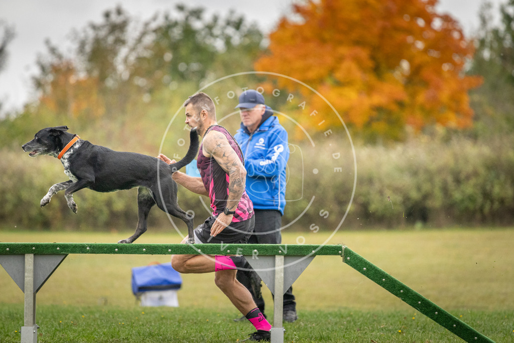 Pfotenfotografie_DV3A0280 | Hundefotografie, Tierfotograf, Pfotenfotografie, Fotoshooting Hund, Hunde Portrait, Hundesport, Hundeportraits, Heideshooting, Hunde, Sportfotograf, Hundefotograf, Turnierhundsport, THS,  - Realisiert mit Pictrs.com