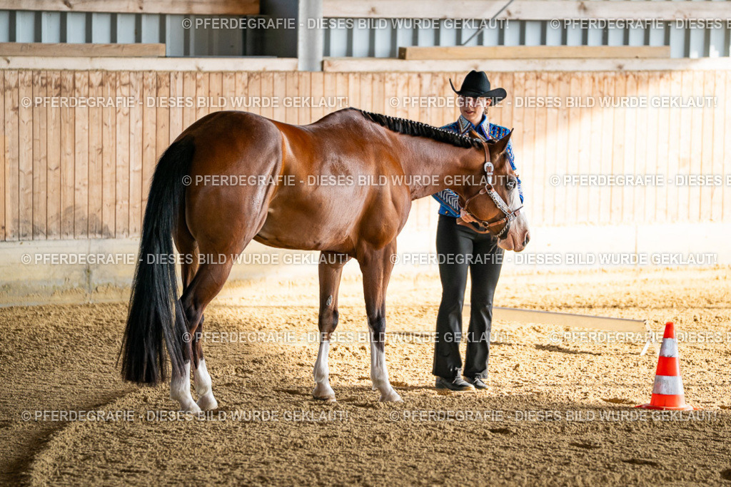 DSC07424 | Pferdegrafie