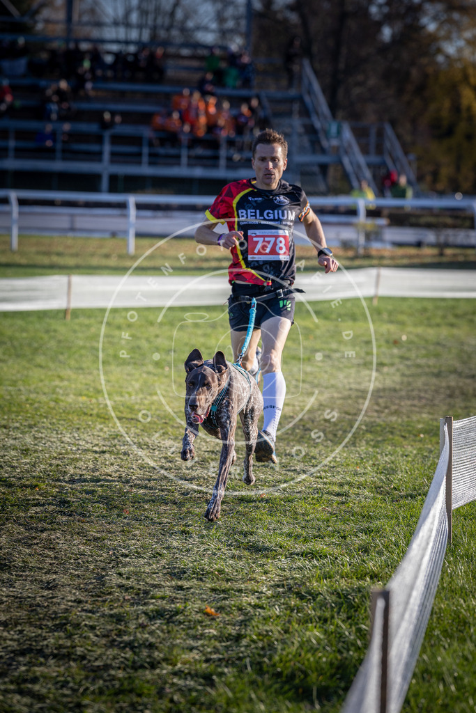 CaniXpix_DV3A2764 | Hundefotografie, Tierfotograf, Pfotenfotografie, Fotoshooting Hund, Hunde Portrait, Hundesport, Hundeportraits, Heideshooting, Hunde, Sportfotograf, Hundefotograf, Turnierhundsport, THS,  - Realisiert mit Pictrs.com