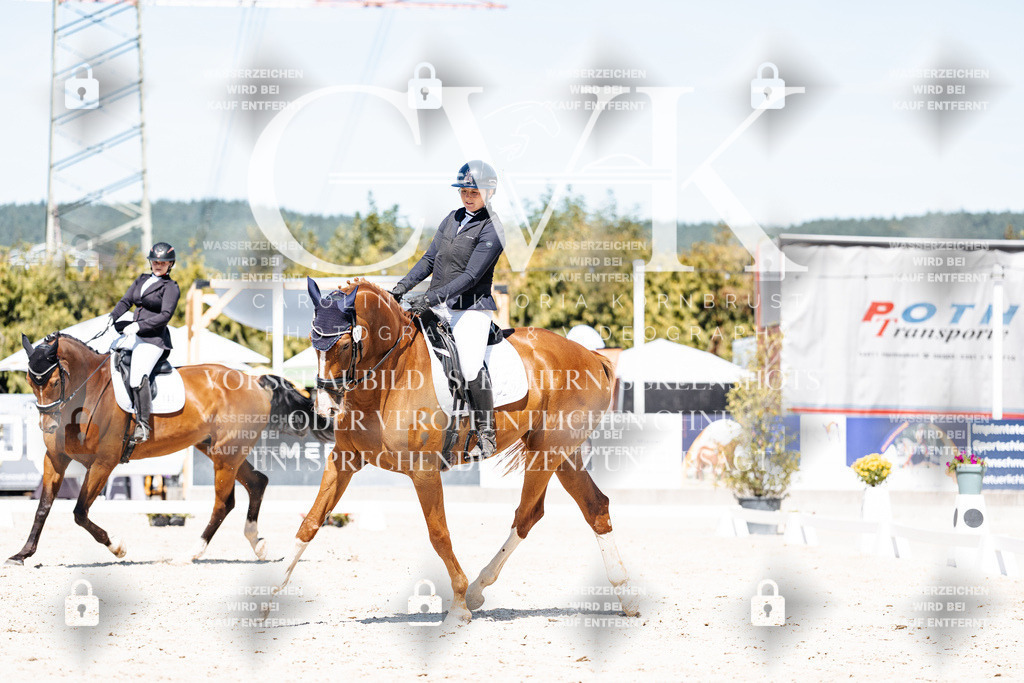 CK900021 | Turnierfotografie Pferdefotografie Trier Rheinland-Pfalz Pferdesport Reitsport Tierfotografie Sportfotografie Pferdevideo Pferdevideografie Equestrianvideography equestrianphotography  - Realisiert mit Pictrs.com
