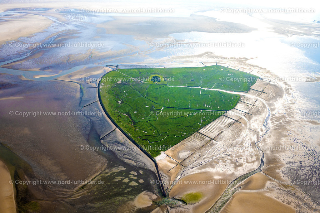 Süderoog_ELS_1060300523 | PELLWORM 30.05.2023 Grasflächen- Strukturen der Hallig- Landschaft Süderoog in Pellworm Nordfriesland im Bundesland Schleswig-Holstein, Deutschland. // Grassy structures of the Hallig landscape Suederoog in Pellworm Nordfriesland in the state Schleswig-Holstein, Germany. Foto: Martin Elsen