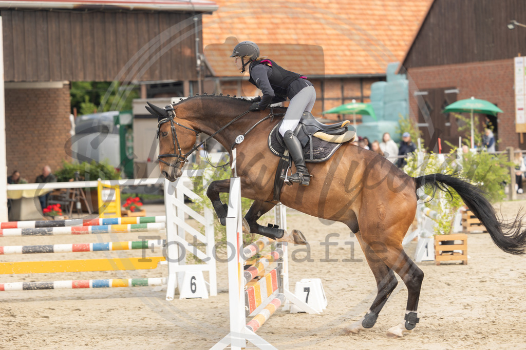 994A9584 | sabrinanicolaifotografie - Realisiert mit Pictrs.com