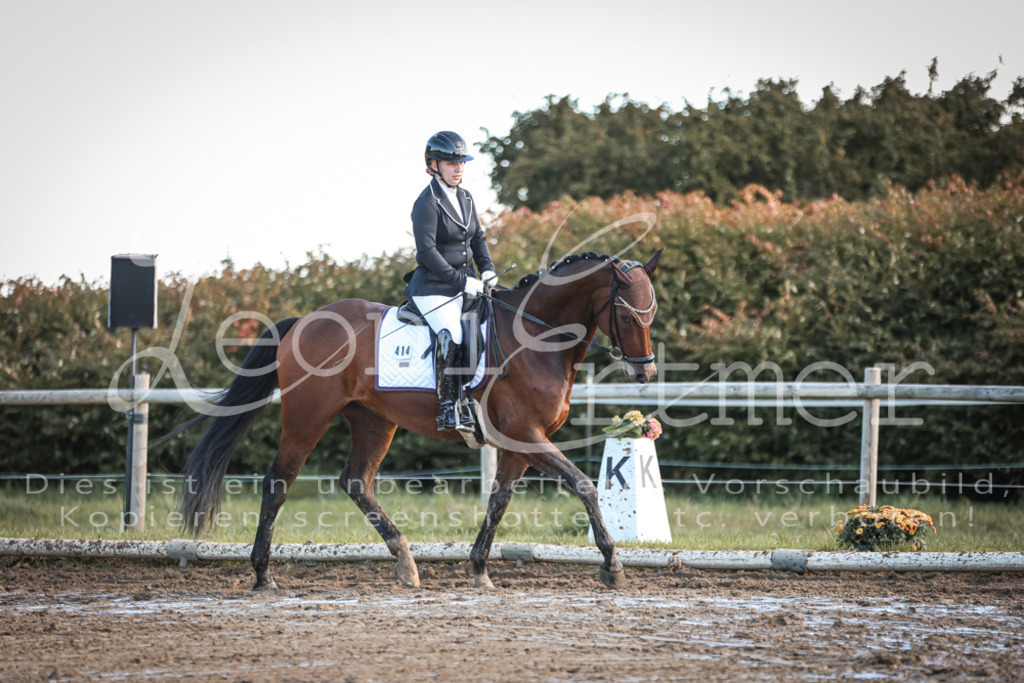 07.SoDrE00167 | Leoni Ertmer Photography - Realisiert mit Pictrs.com