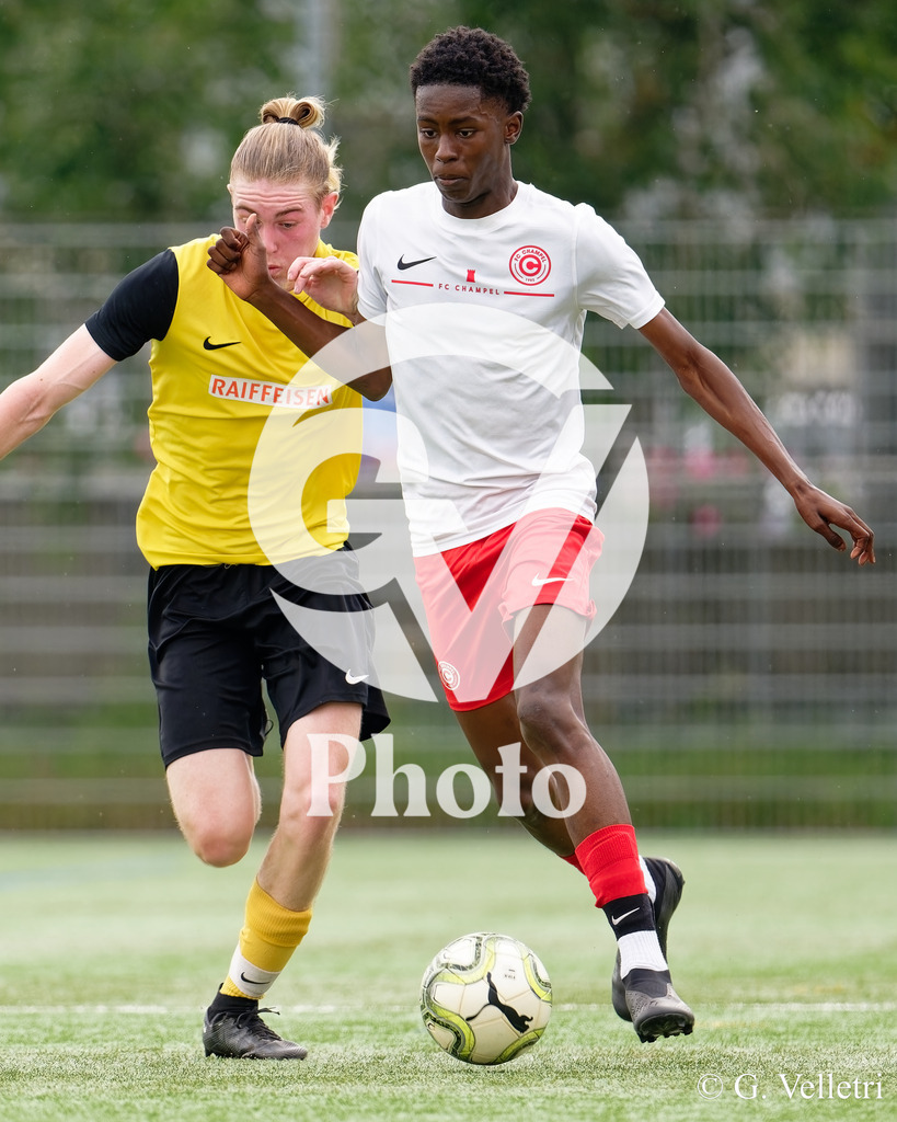 DSC_6730 | Velletri Photo