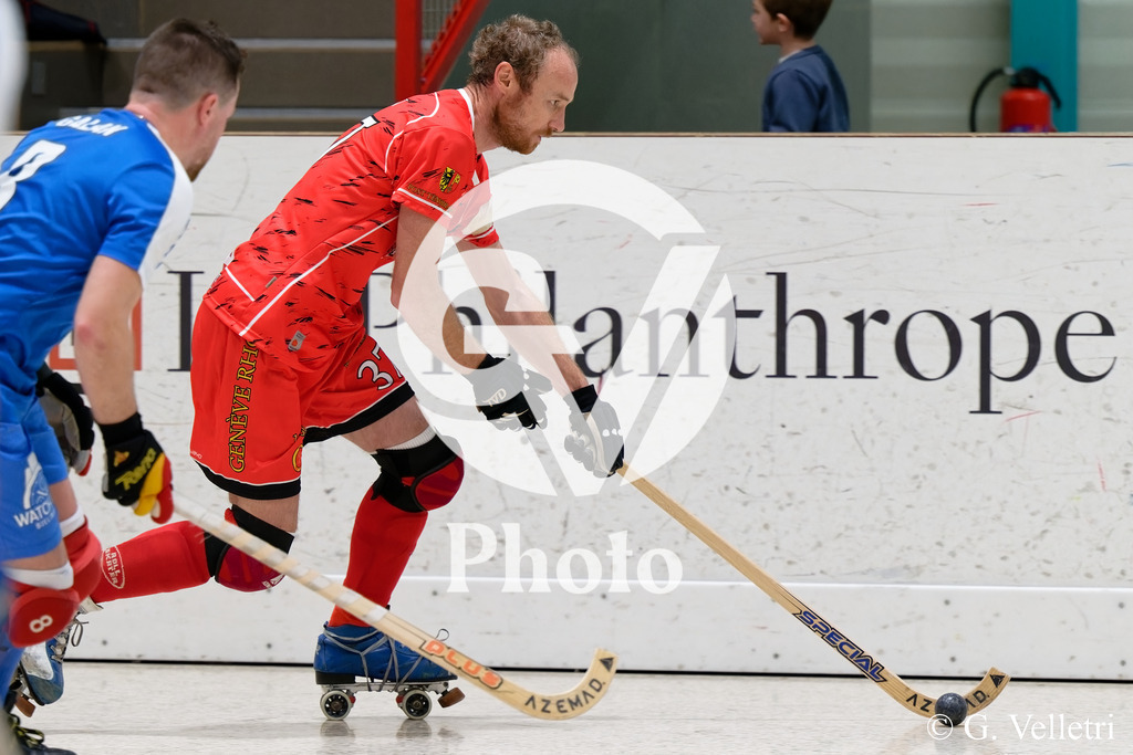 DSC_6110 | Velletri Photo