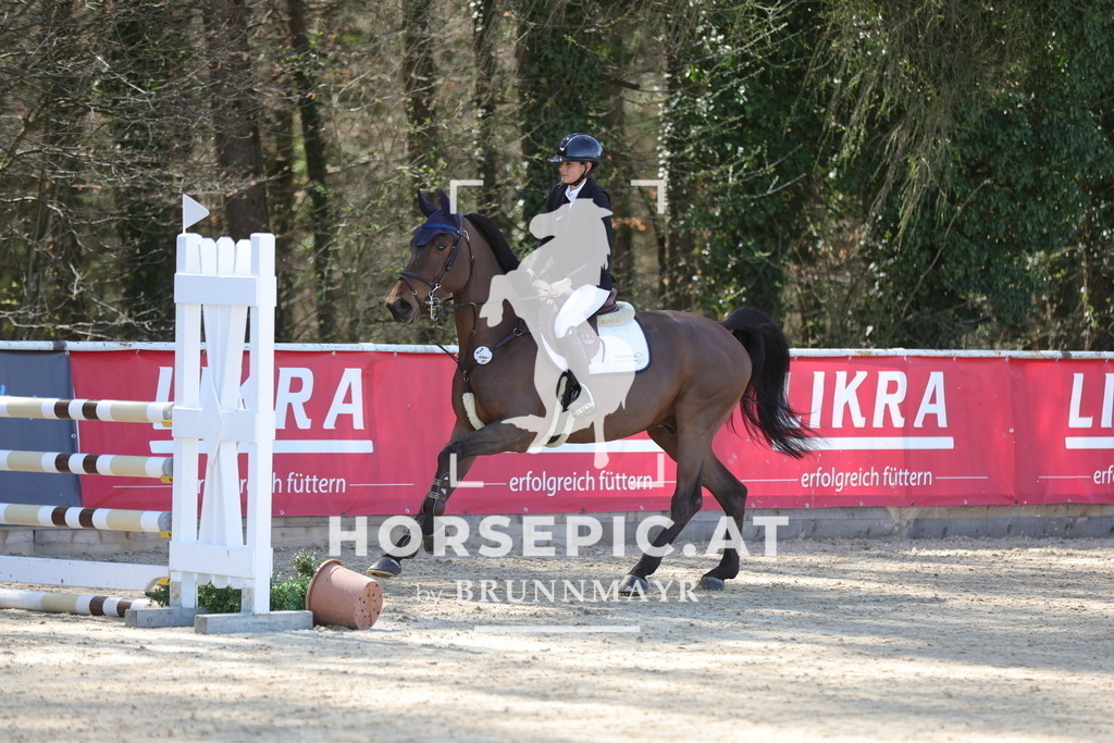 0P6A8516 | Willkommen bei Brunnmayr - Design & Fotografie – Ihrem Spezialisten für Reitturniere und Pferdeveranstaltungen in Oberösterreich, Salzburg und Bayern! Seit über 17 Jahren sind wir leidenschaftlich dabei.