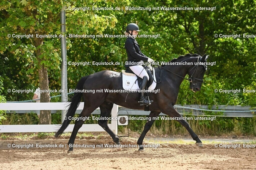 20230715_07_Dressurpferdeprfg. Kl.L_0143 | equistock