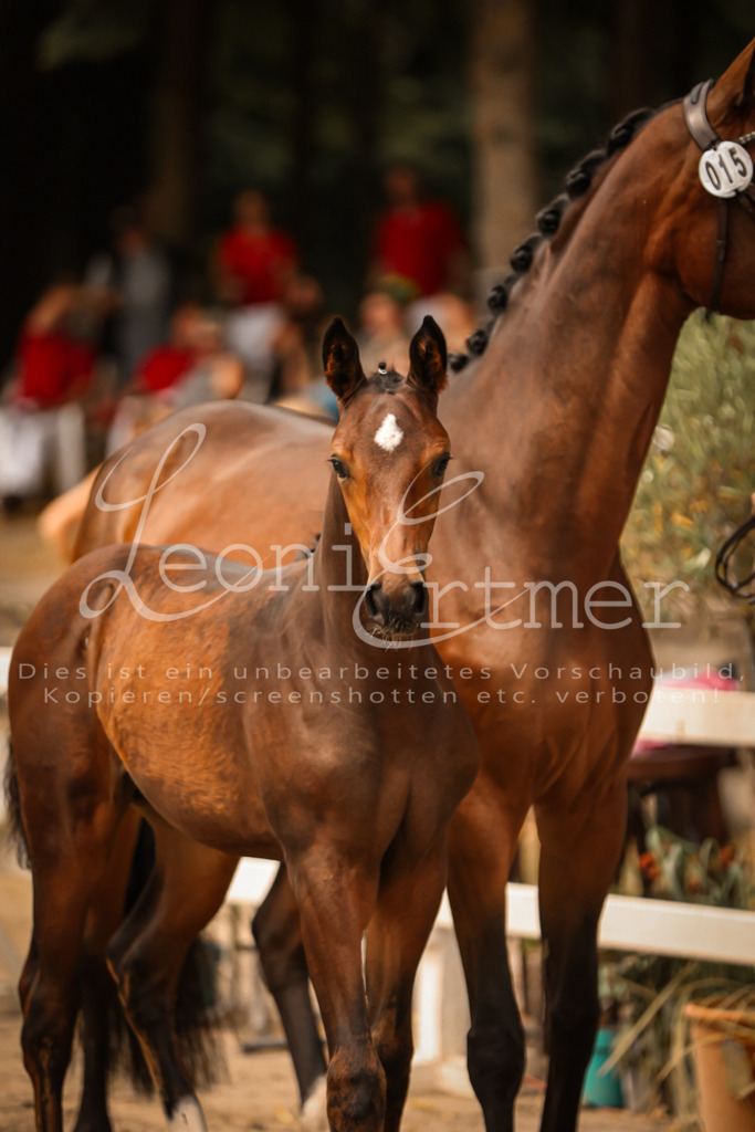 SaPA00211 | Leoni Ertmer Photography - Realisiert mit Pictrs.com