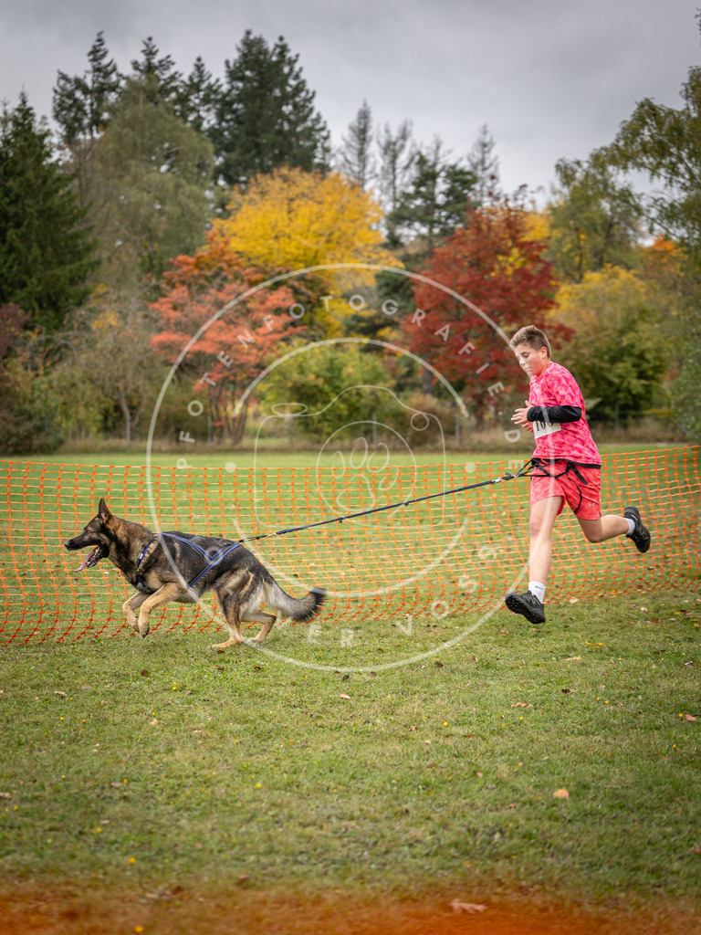 Pfotenfotografie_DV3A3462 | Hundefotografie, Tierfotograf, Pfotenfotografie, Fotoshooting Hund, Hunde Portrait, Hundesport, Hundeportraits, Heideshooting, Hunde, Sportfotograf, Hundefotograf, Turnierhundsport, THS,  - Realisiert mit Pictrs.com