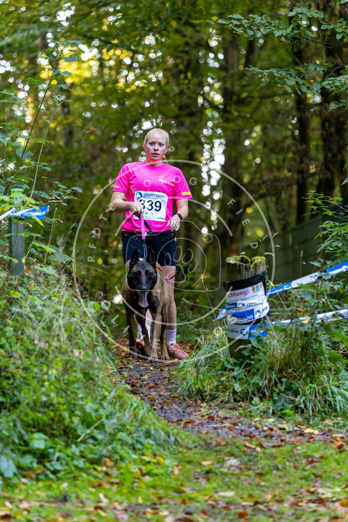 Pfotenfotografie_DV3A7398 | Hundefotografie, Tierfotograf, Pfotenfotografie, Fotoshooting Hund, Hunde Portrait, Hundesport, Hundeportraits, Heideshooting, Hunde, Sportfotograf, Hundefotograf, Turnierhundsport, THS,  - Realisiert mit Pictrs.com