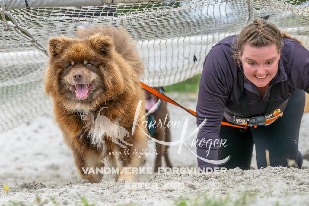 1033_ZZ94273 | kk-dogfotos