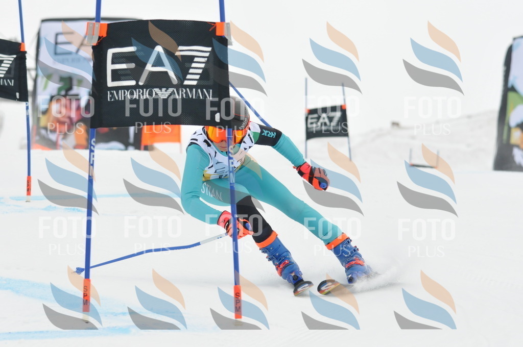 DSC_8411 | holidayphoto