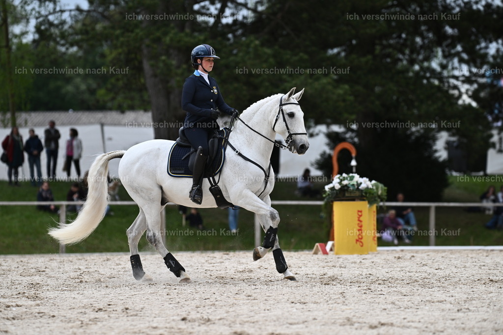 PI26_ST_Sara_Landvogt226_4216.JPG | working equitationturnier fotograf videograf stoibphotography marixx film working equitation deutschland reitsport turnierfotografie eventfotografie equestrian events
