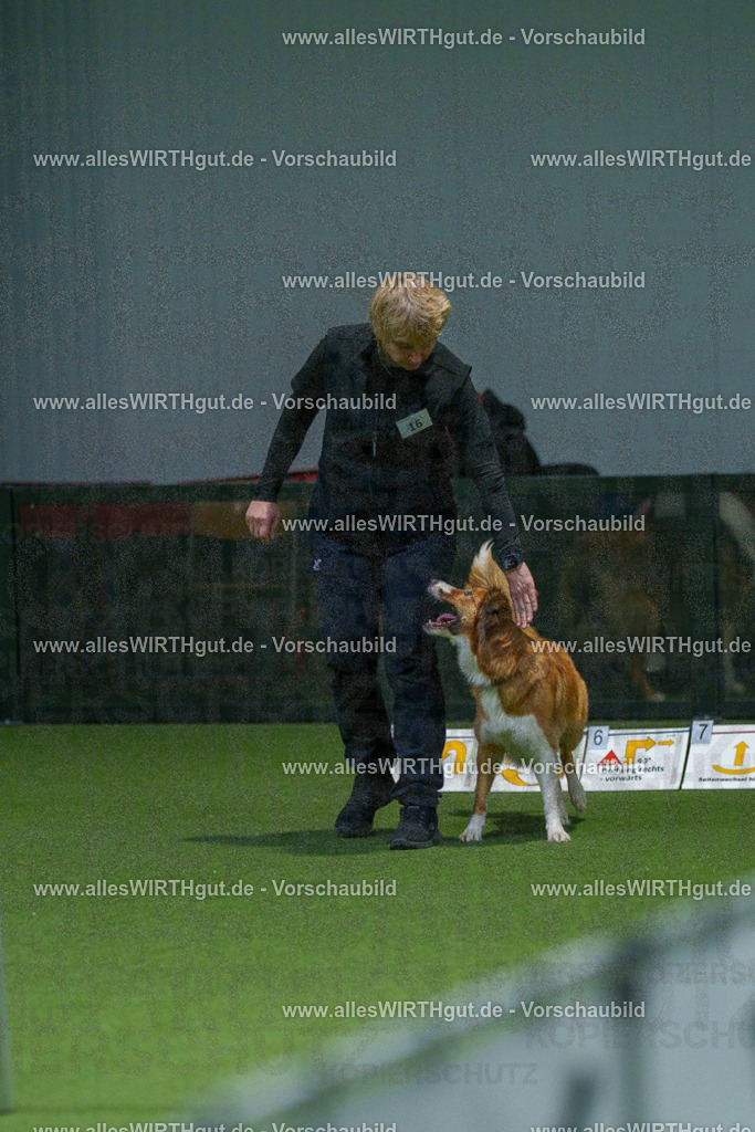 7R505462 | Professionelle Tierfotografie in Mönchengladbach von Daniel Wirth (allesWIRTHgut). Liebevolle & natürliche Bilder von Hunden & Katzen für unvergessliche Erinnerungen.