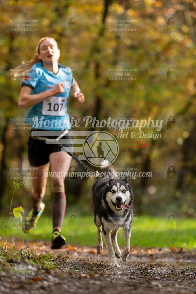 MompixPhotography_Bischwiller23_Canicross-61 | PayLife