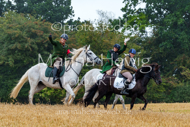 Jagd Kletkamp 26-02830_MarinaHewig | Fotografie, FotoArt, PferdesportArt, Pferdesportfotografie, Landschaftsfotografie, Reisefotografie, Reise, Pferde - Realisiert mit Pictrs.com
