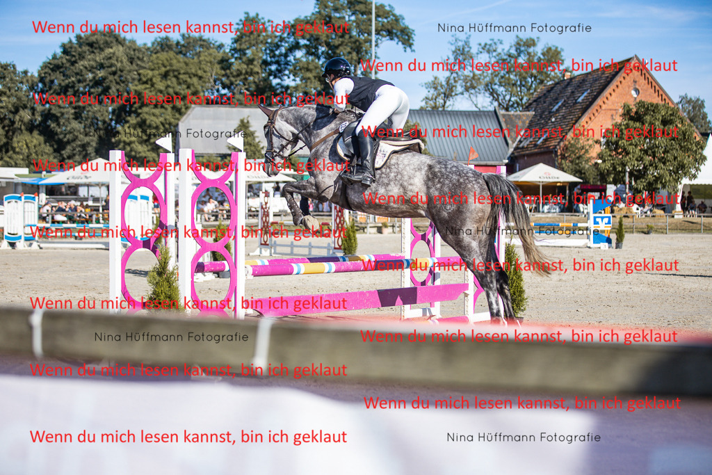 BK1A7535 | Turnierbilder Turnierfotos Nina Hüffmann Turnierfotografie Pferdefotografie Tierzeichnung Haustierzeichnung Pferdezeichnung Hundezeichnung Videograf  - Realisiert mit Pictrs.com