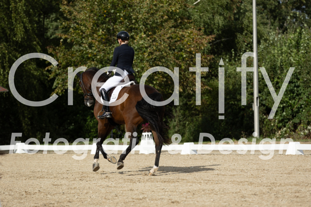 IMG_7025 | Creatify Fotografie