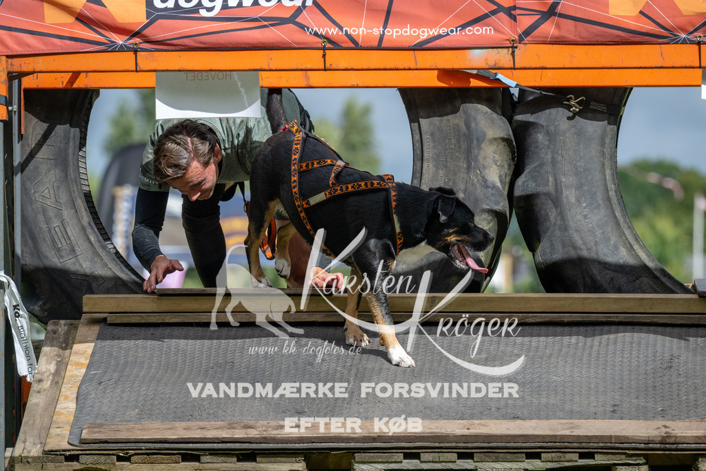 1148_ZZ93035 | kk-dogfotos