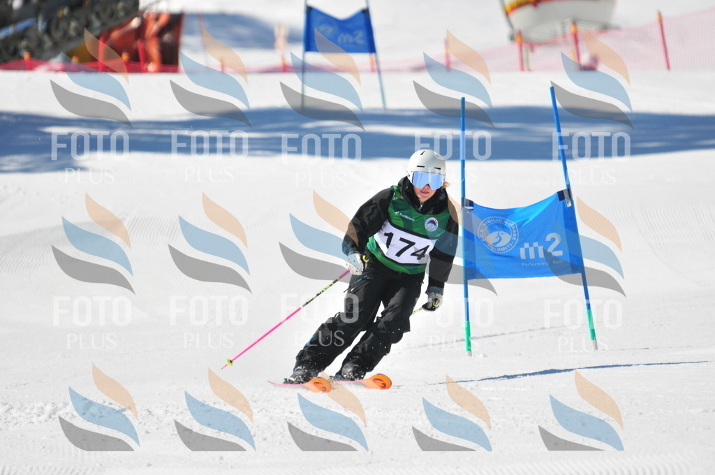 C4234 | holidayphoto