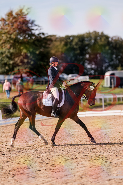 2026_10_03_Siefer-Hof_125505_Z81_43726513 | Professionelle Reitsport-, Turnier- und Eventfotografie von Robert Broda. Galerien mit ausgewählten und bearbeiteten Bildern direkt online ansehen und bestellen.