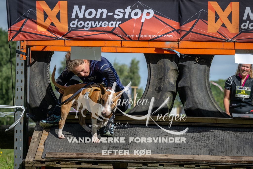 1108_ZZ91957 | kk-dogfotos