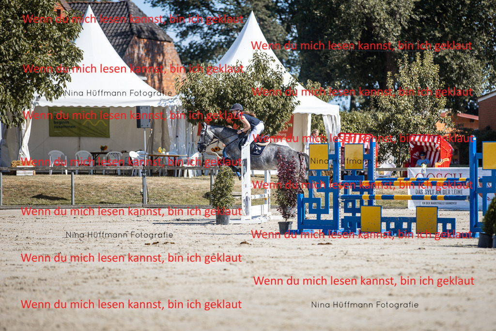 BK1A7091 | Turnierbilder Turnierfotos Nina Hüffmann Turnierfotografie Pferdefotografie Tierzeichnung Haustierzeichnung Pferdezeichnung Hundezeichnung Videograf  - Realisiert mit Pictrs.com