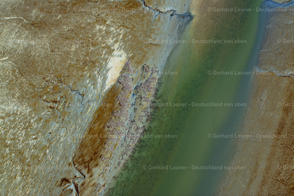 3800949 | Wattstrukturen zw. Duhnen und Neuwerk im Nationalpark Hamburgisches Wattenmeer