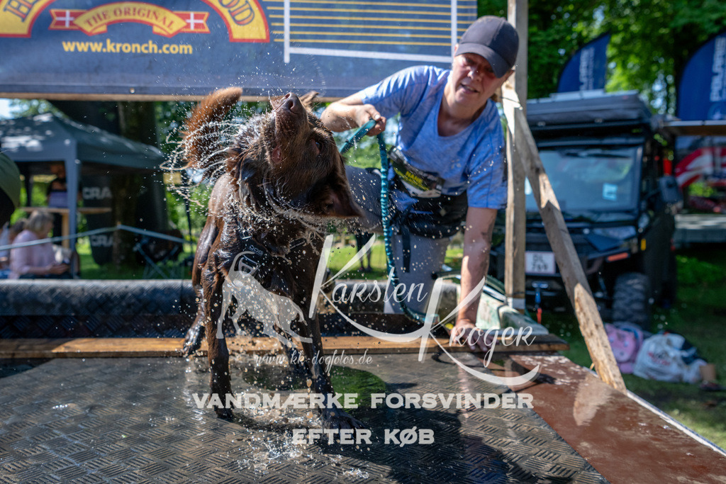 1224_ZZ91037 | kk-dogfotos