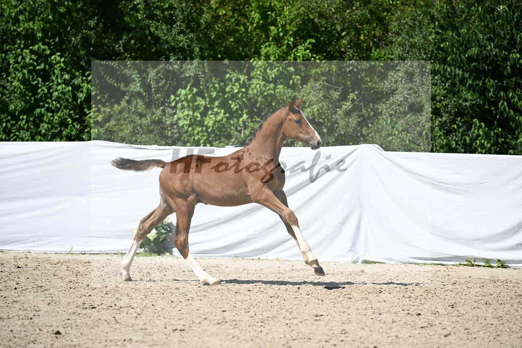 Denzel x Baldini_HF_Heidecker_28241201 | hf-fotografie - Realisiert mit Pictrs.com