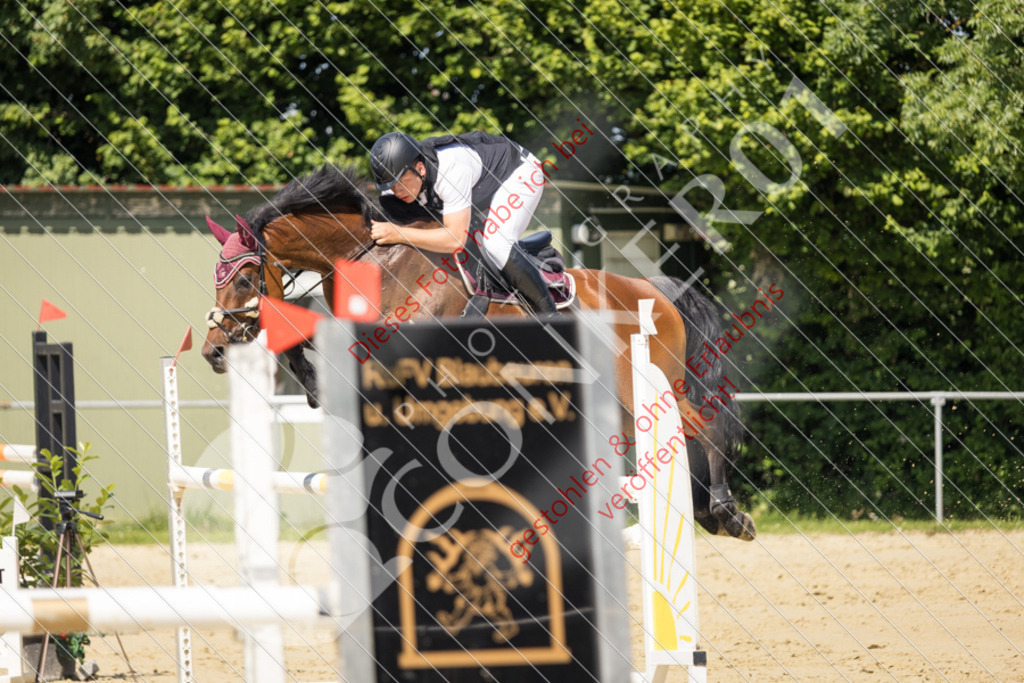 IMG_9792 | Sport-, Event- und Tierfotos in Profiqualität. Einfach auswählen, bestellen und herunterladen. Dein Moment – perfekt festgehalten.