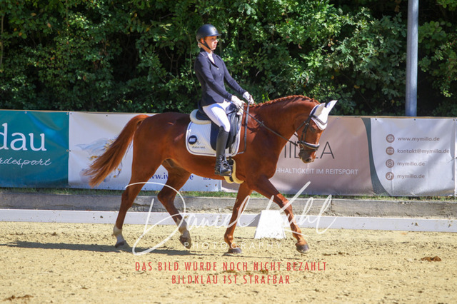 DKP42011 | Turniersportfotografie; Pferdefotografie; Dressurfotografie