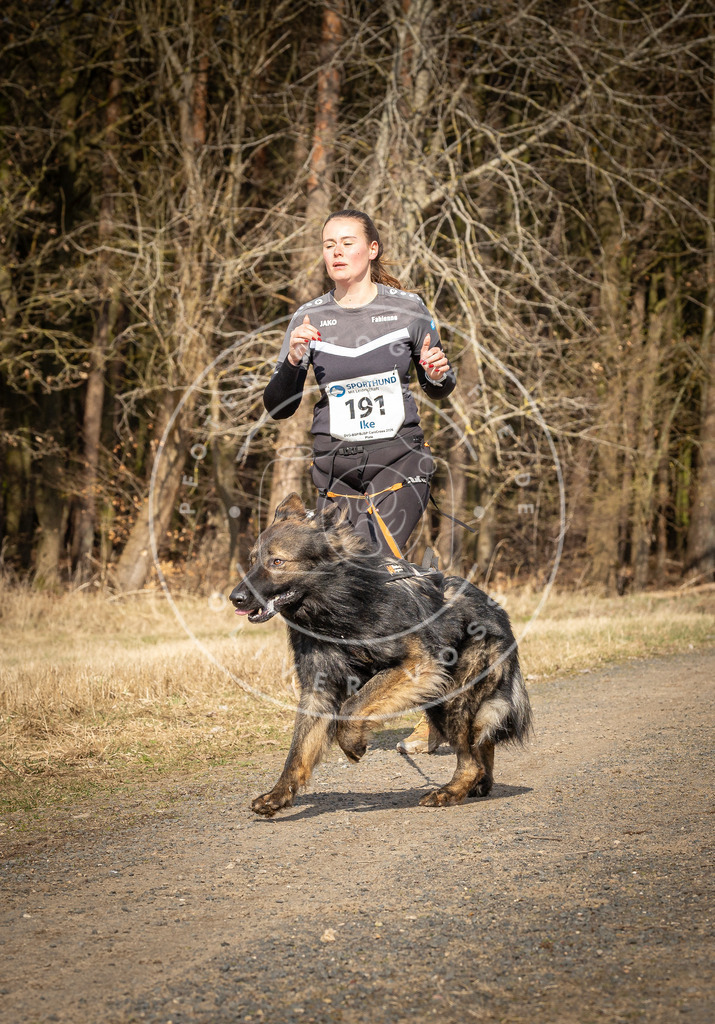DV3A5754 | Hundefotografie, Tierfotograf, Pfotenfotografie, Fotoshooting Hund, Hunde Portrait, Hundesport, Hundeportraits, Heideshooting, Hunde, Sportfotograf, Hundefotograf, Turnierhundsport, THS,  - Realisiert mit Pictrs.com
