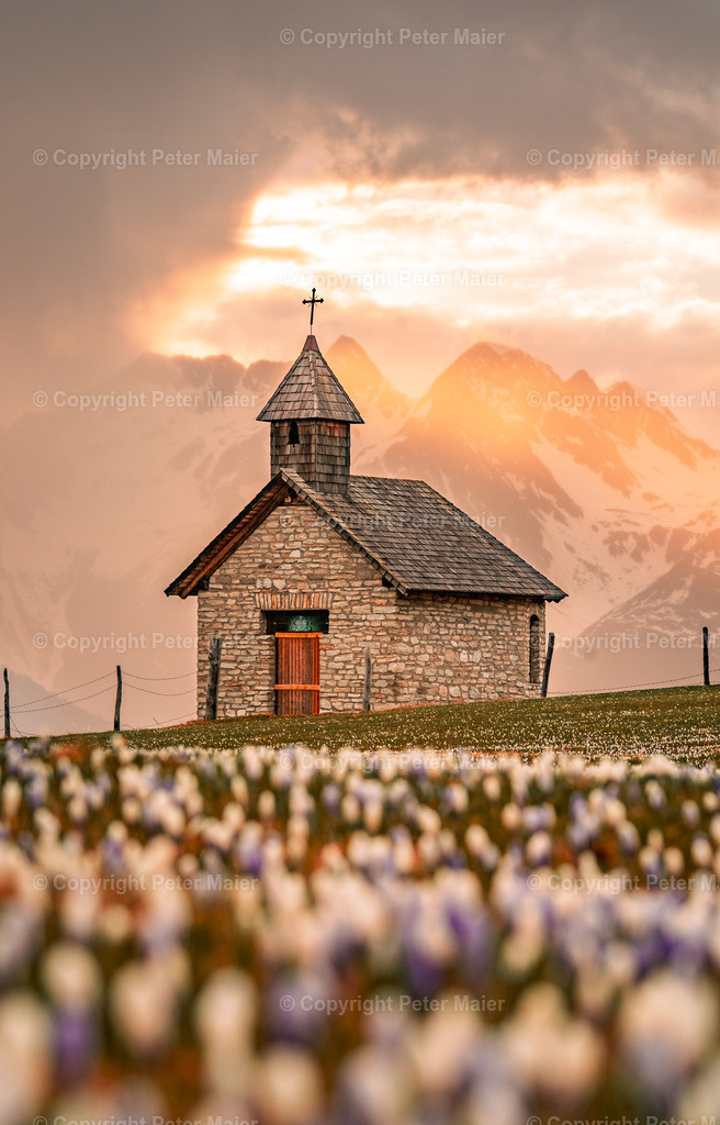 Glocknerblick-320 | piet_flosse