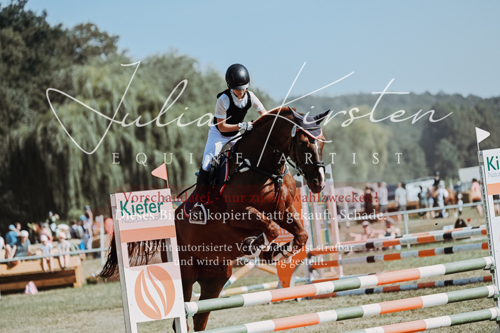 DSC_9459 | Pferde- und Turnierfotografie in Westsachsen. Pferdeportraits, Auftragszeichnungen und intuitive Kunst.