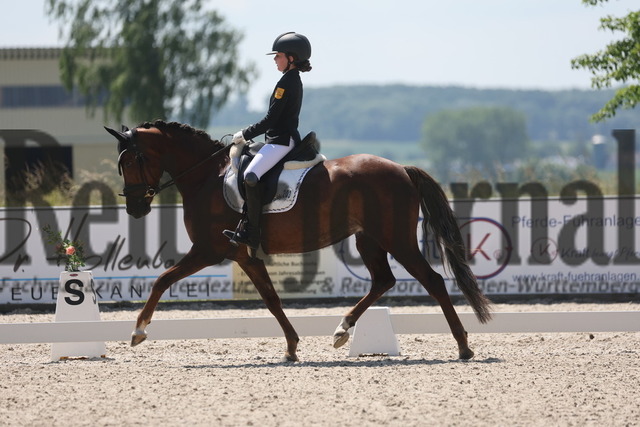 Rot am See_2024_Prfg.Nr.21_Qual.BCH_und_LCH_5-jähr.Ponys_Matilda Buchbach_Dundees Quadriga (7) | Alle Fotos der Reiterjournal Fotografin Doris Matthaes im Reiterjournal Online-Fotoshop. - Realisiert mit Pictrs.com