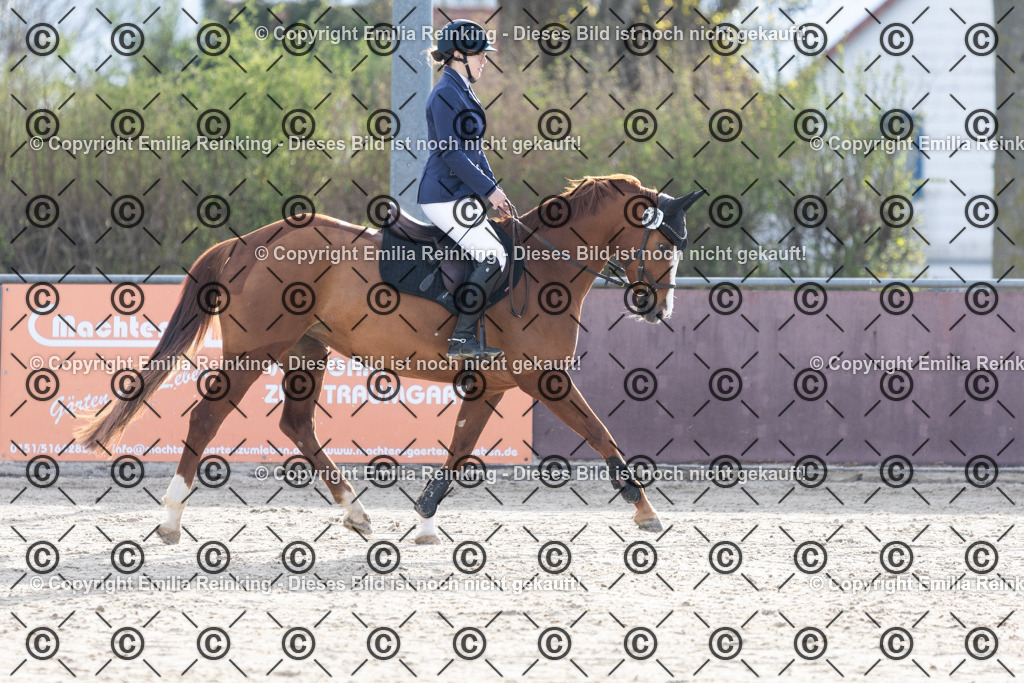 CL5A6700 | Emilia Reinking Fotografie - Realisiert mit Pictrs.com