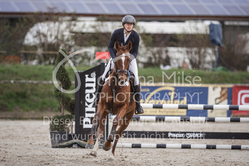 240330_Fruehlingsfest_Amateur-SprPf-A-234 | Deine schönsten Turniermomente als professionelle Fotos! Entdecke hochwertige Pferdesport-Fotografie im Online-Shop. Jetzt Fotos finden & bestellen!