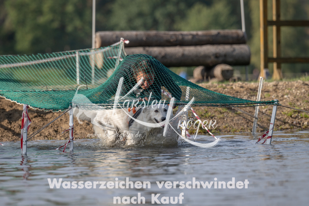 1031_ZZ93722 | kk-dogfotos