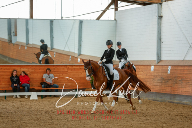 _62_7829 | Turniersportfotografie; Pferdefotografie; Dressurfotografie